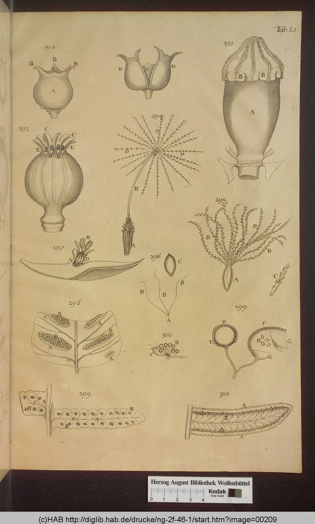 http://diglib.hab.de/drucke/ng-2f-46-1/00209.jpg