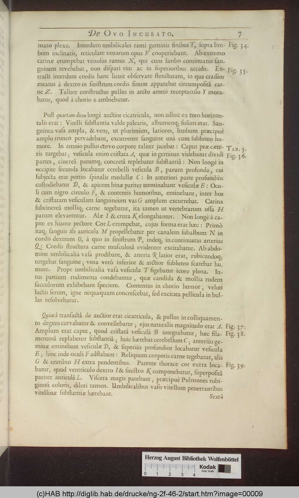 http://diglib.hab.de/drucke/ng-2f-46-2/00009.jpg