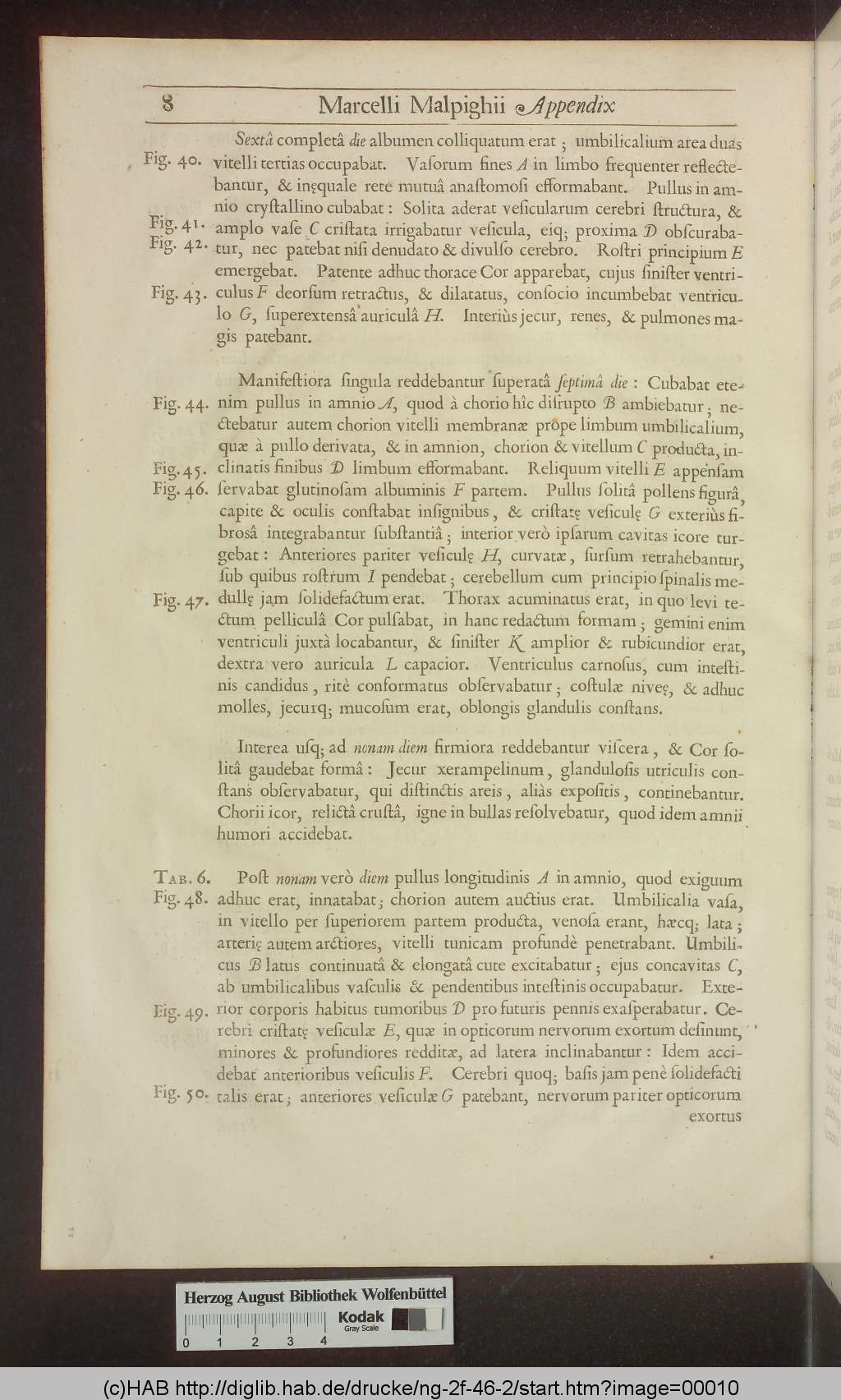 http://diglib.hab.de/drucke/ng-2f-46-2/00010.jpg