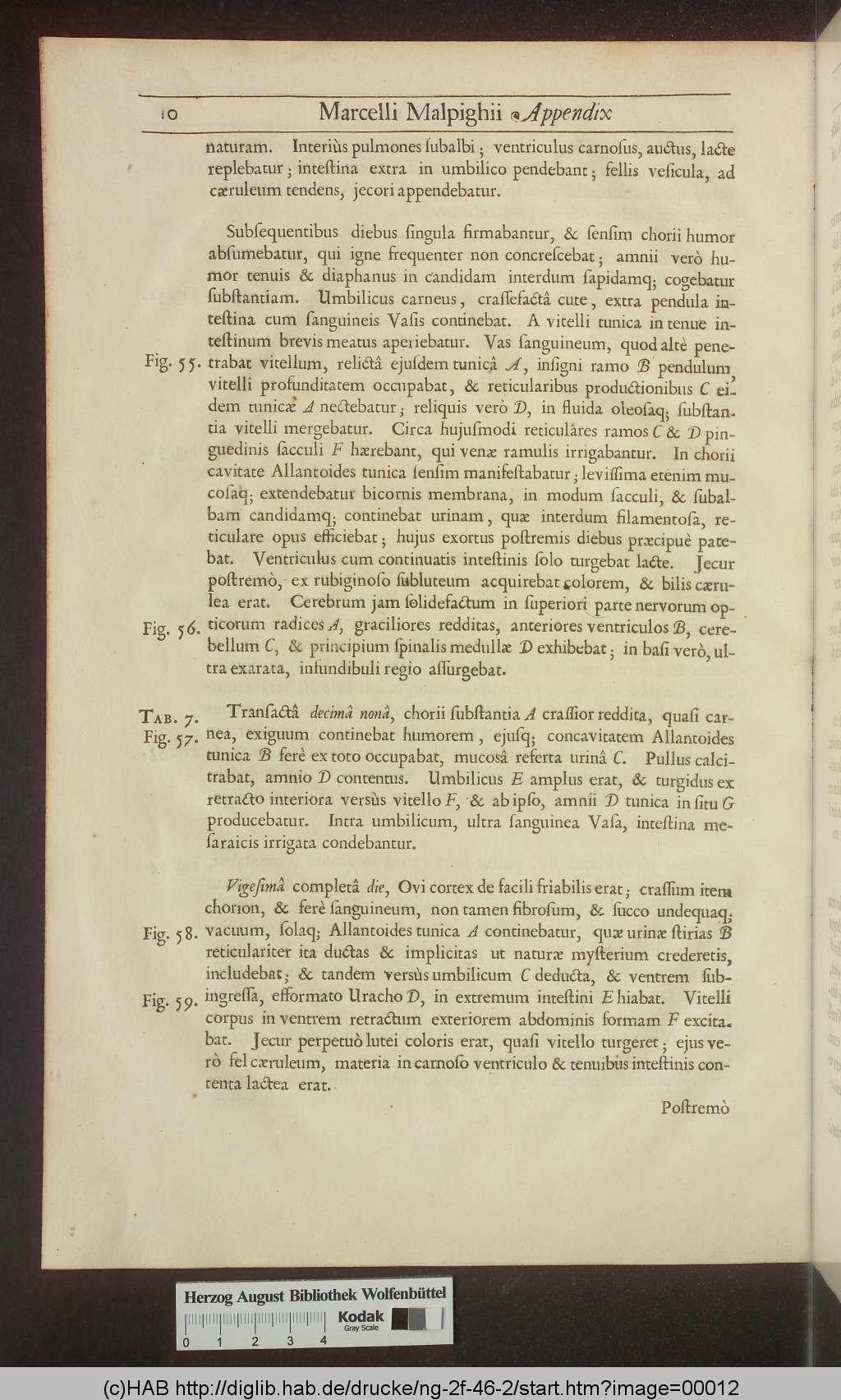http://diglib.hab.de/drucke/ng-2f-46-2/00012.jpg