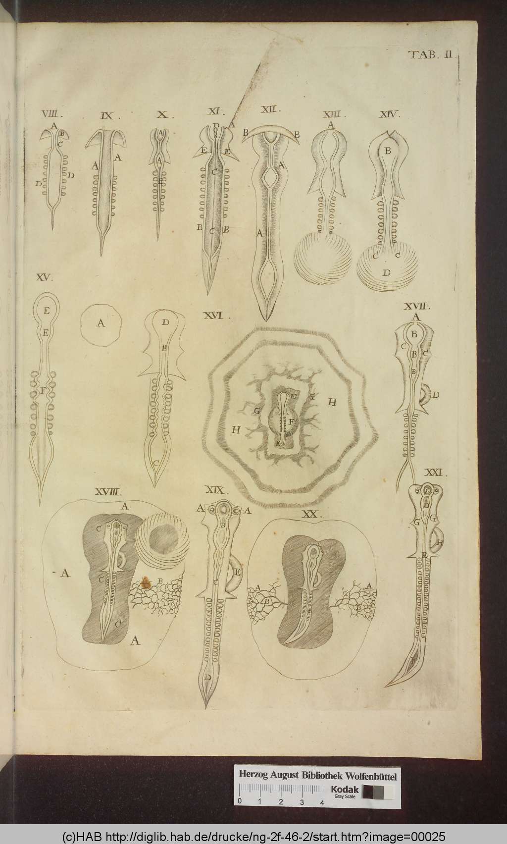 http://diglib.hab.de/drucke/ng-2f-46-2/00025.jpg