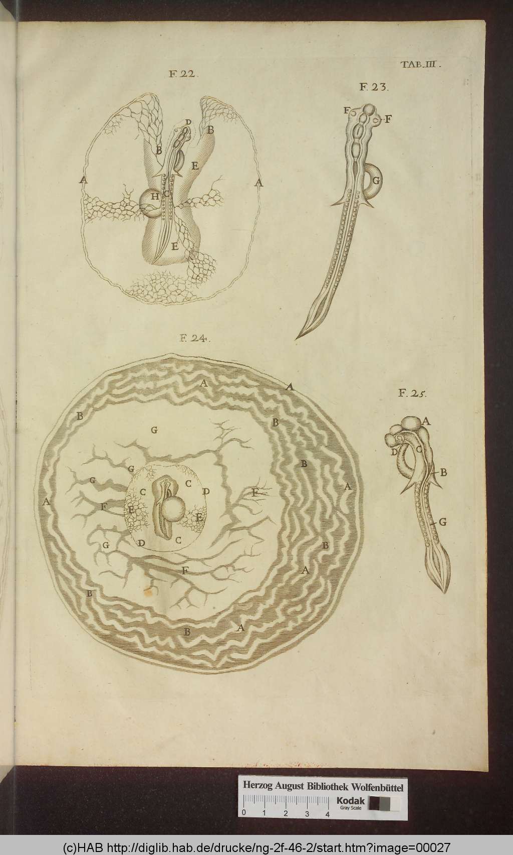 http://diglib.hab.de/drucke/ng-2f-46-2/00027.jpg