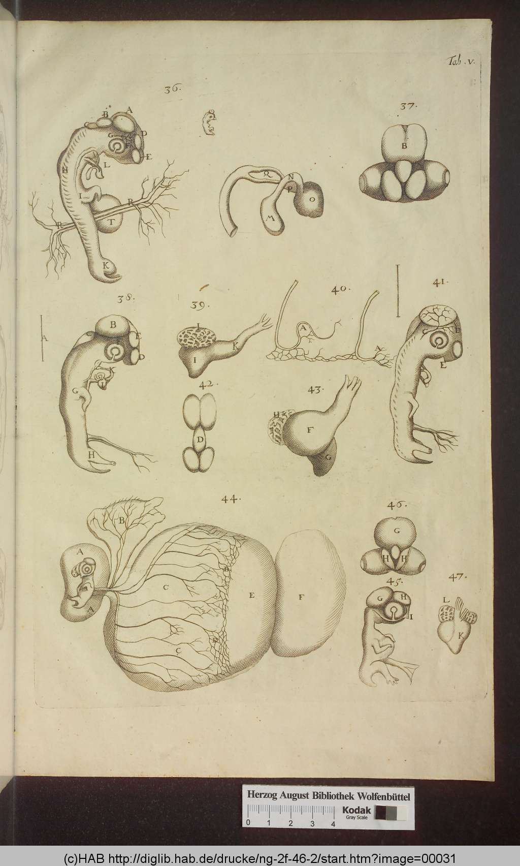 http://diglib.hab.de/drucke/ng-2f-46-2/00031.jpg