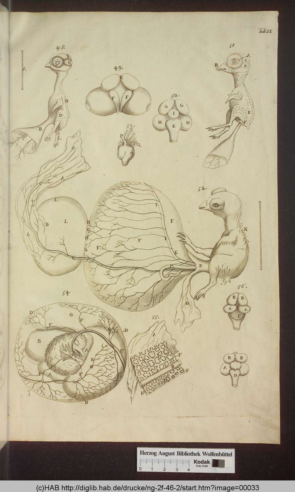 http://diglib.hab.de/drucke/ng-2f-46-2/00033.jpg