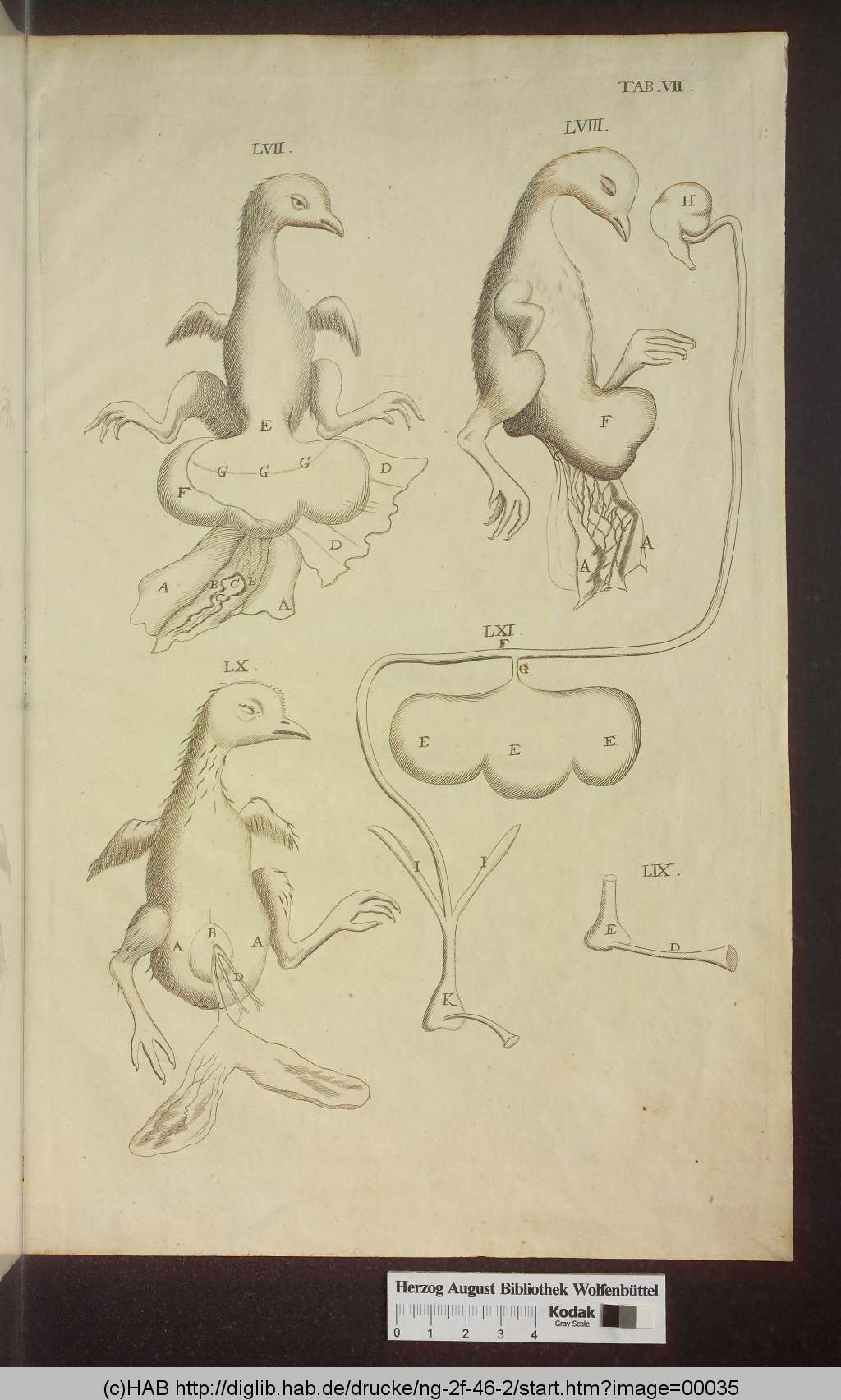 http://diglib.hab.de/drucke/ng-2f-46-2/00035.jpg