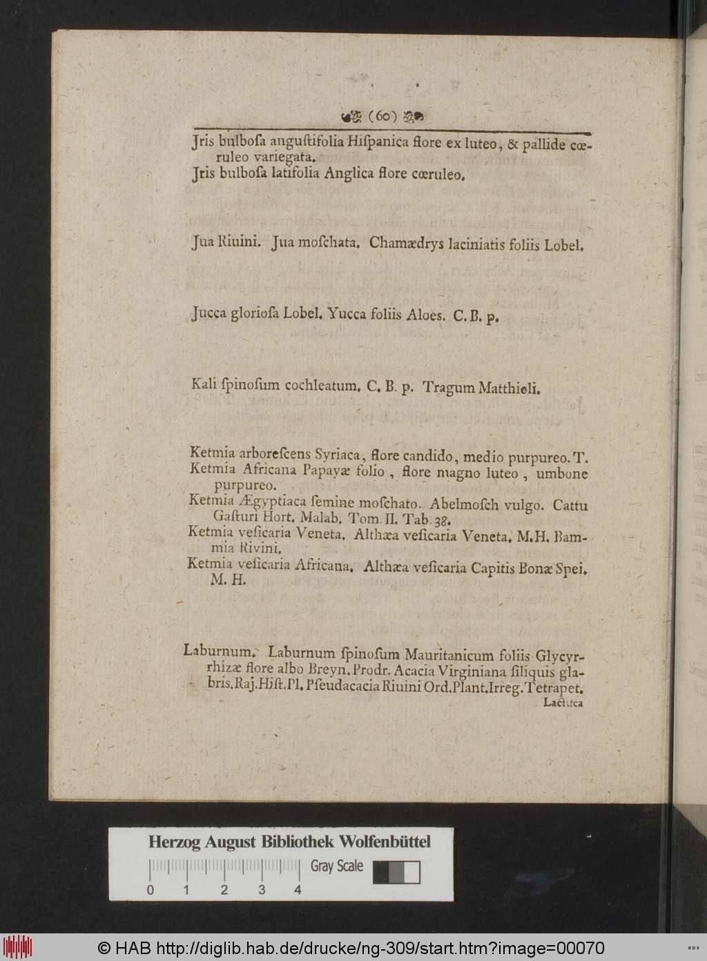 http://diglib.hab.de/drucke/ng-309/00070.jpg