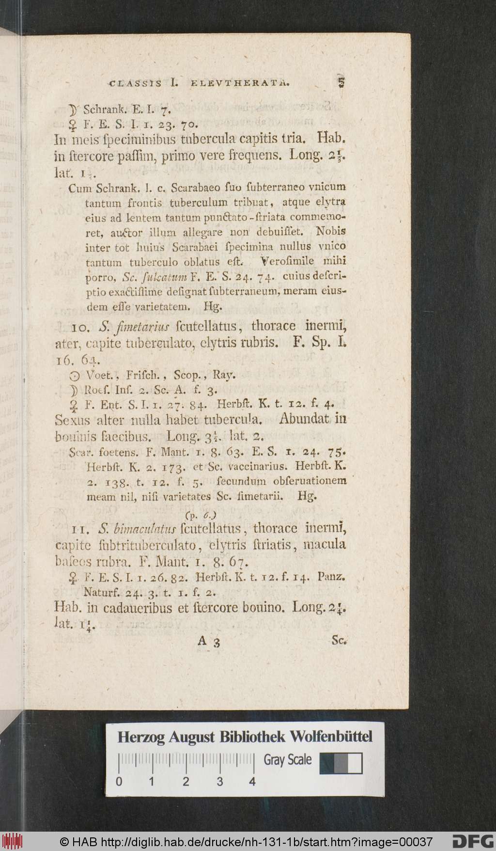 http://diglib.hab.de/drucke/nh-131-1b/00037.jpg