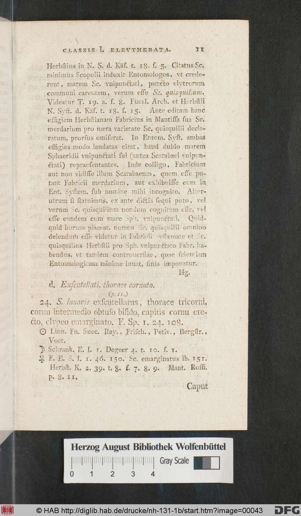 http://diglib.hab.de/drucke/nh-131-1b/00043.jpg