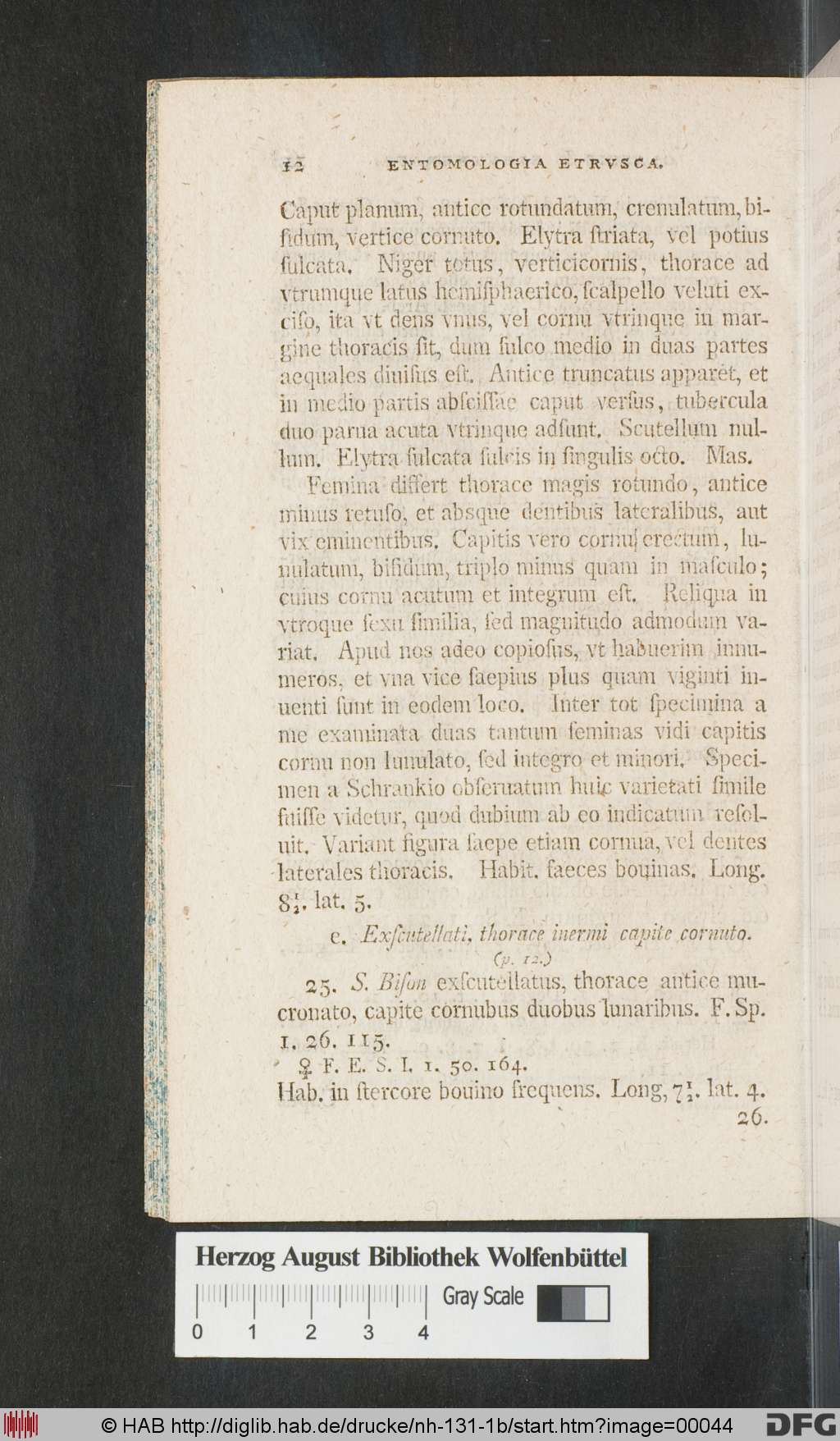 http://diglib.hab.de/drucke/nh-131-1b/00044.jpg