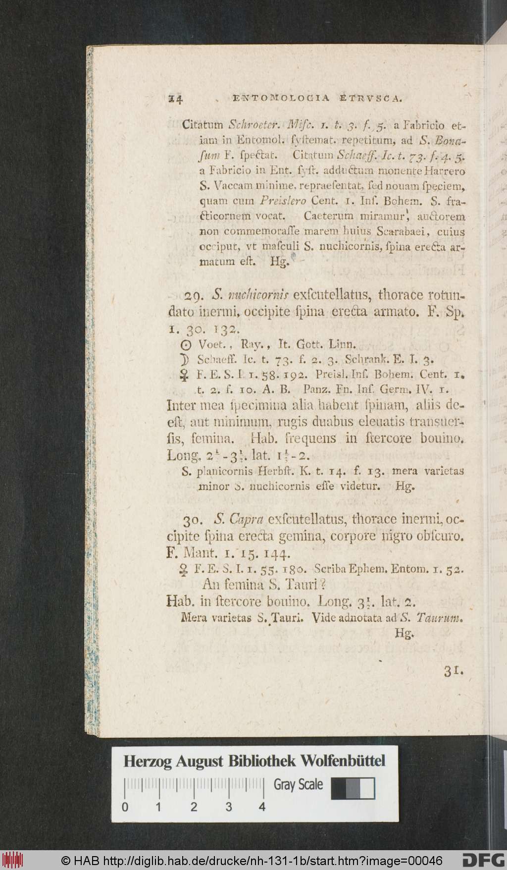 http://diglib.hab.de/drucke/nh-131-1b/00046.jpg