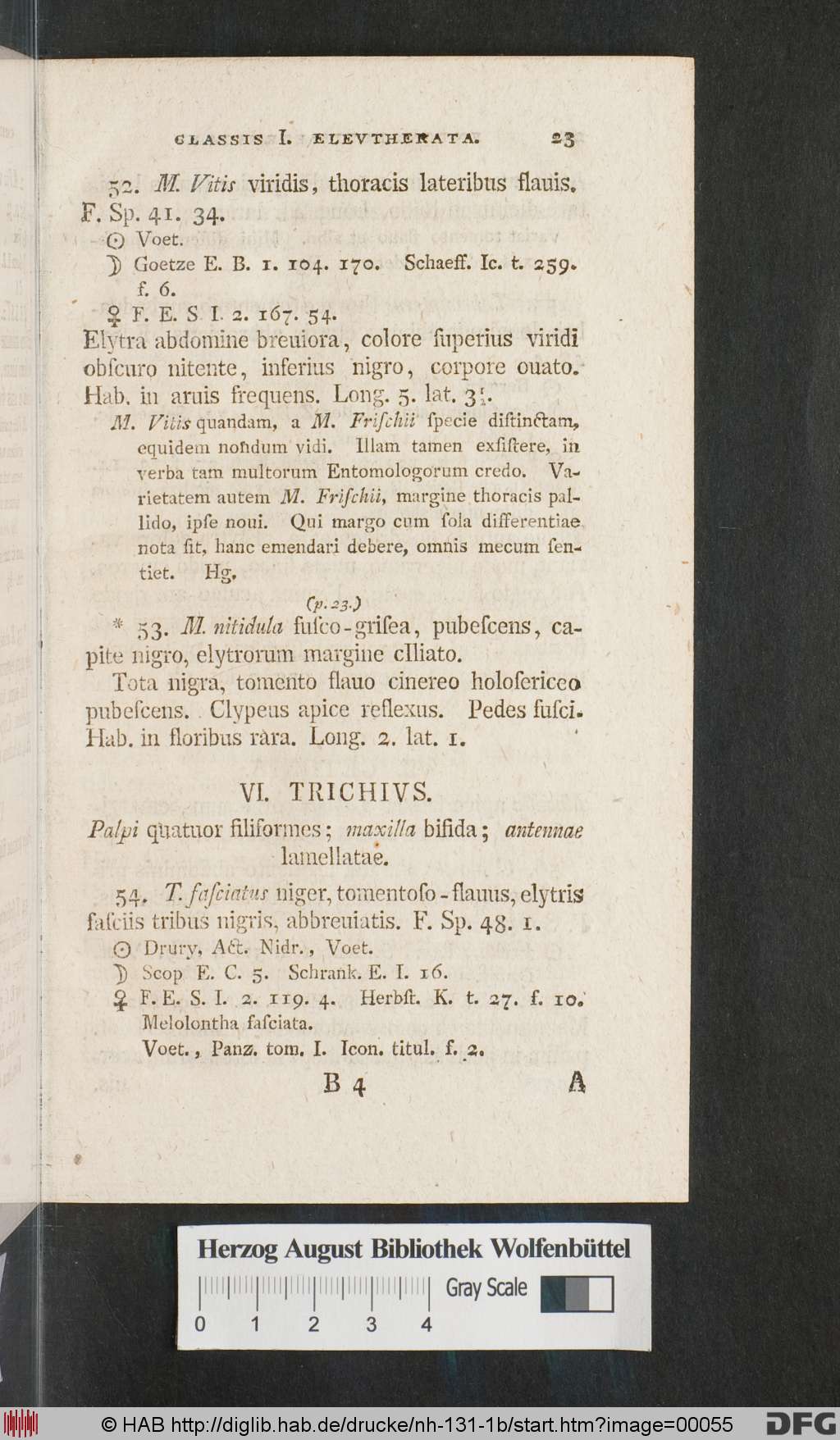 http://diglib.hab.de/drucke/nh-131-1b/00055.jpg