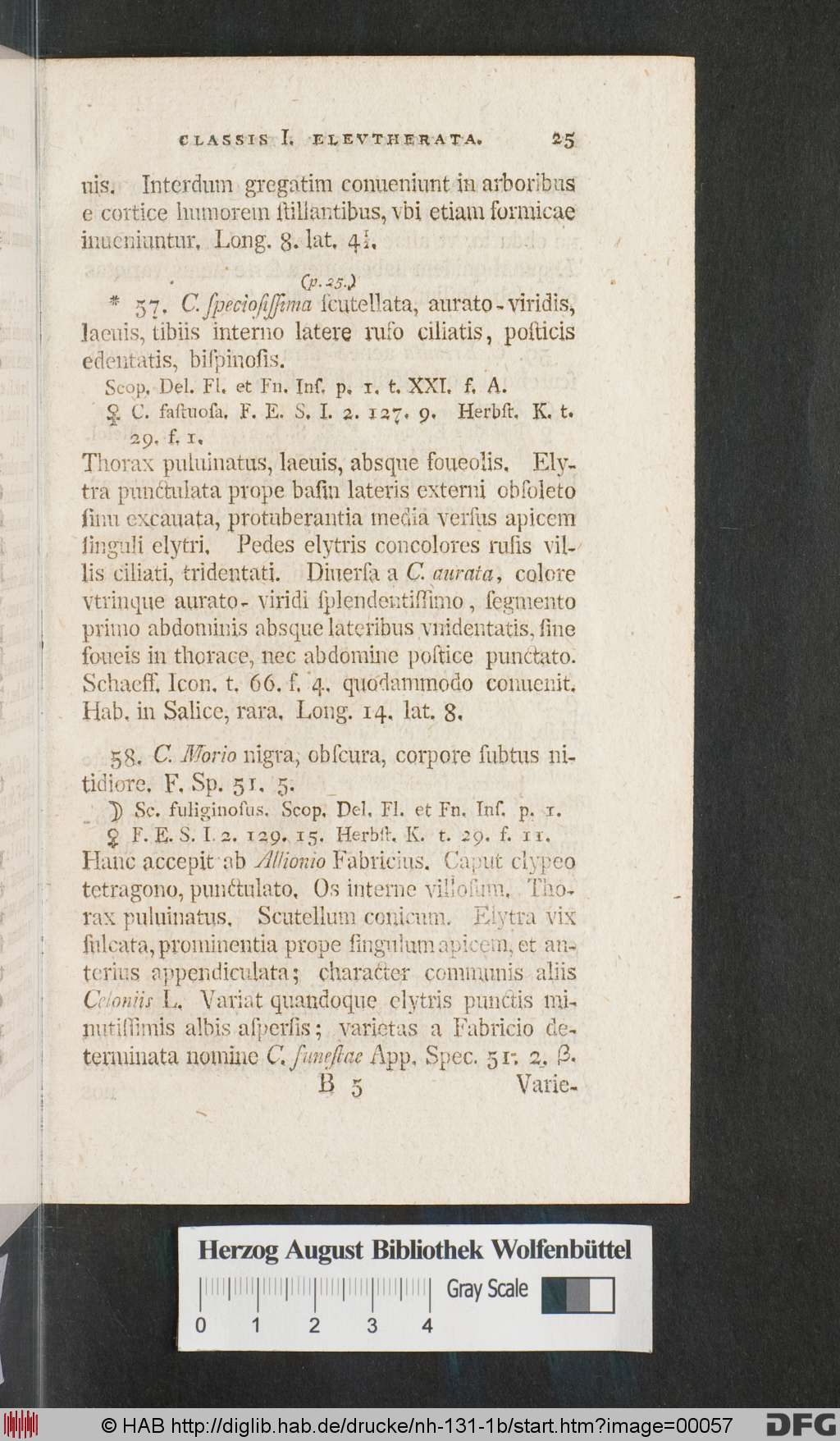 http://diglib.hab.de/drucke/nh-131-1b/00057.jpg