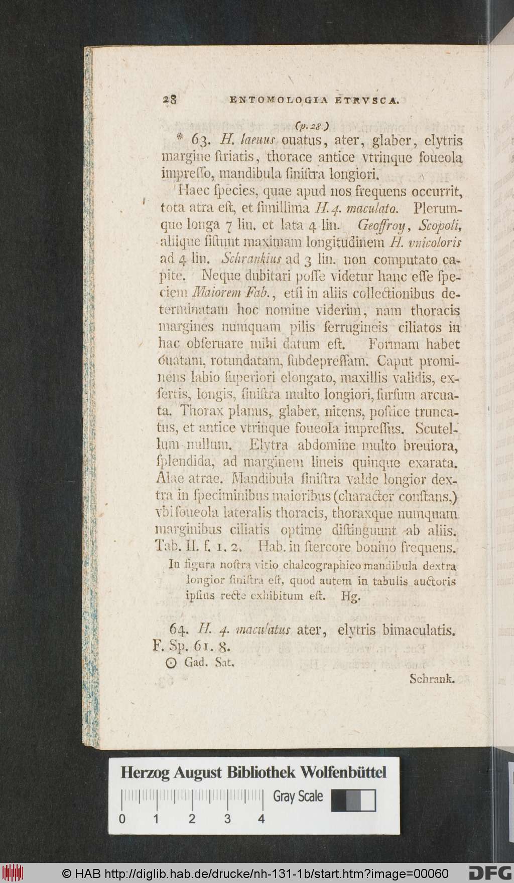 http://diglib.hab.de/drucke/nh-131-1b/00060.jpg