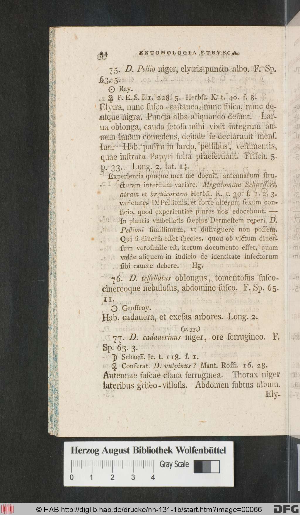http://diglib.hab.de/drucke/nh-131-1b/00066.jpg