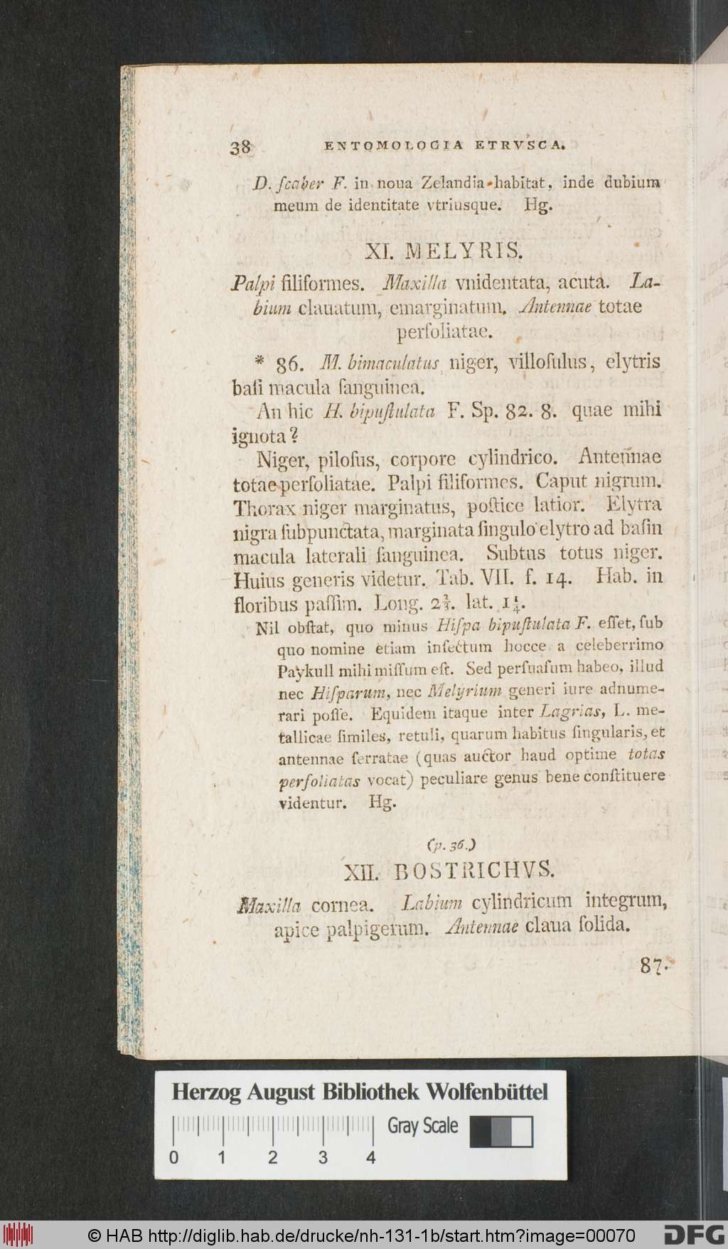 http://diglib.hab.de/drucke/nh-131-1b/00070.jpg