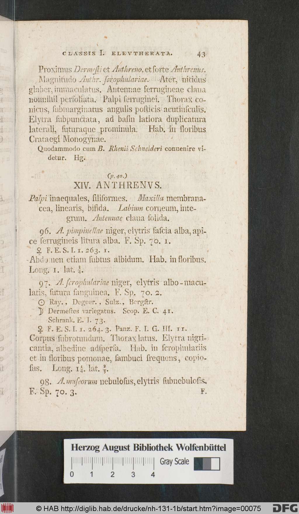 http://diglib.hab.de/drucke/nh-131-1b/00075.jpg
