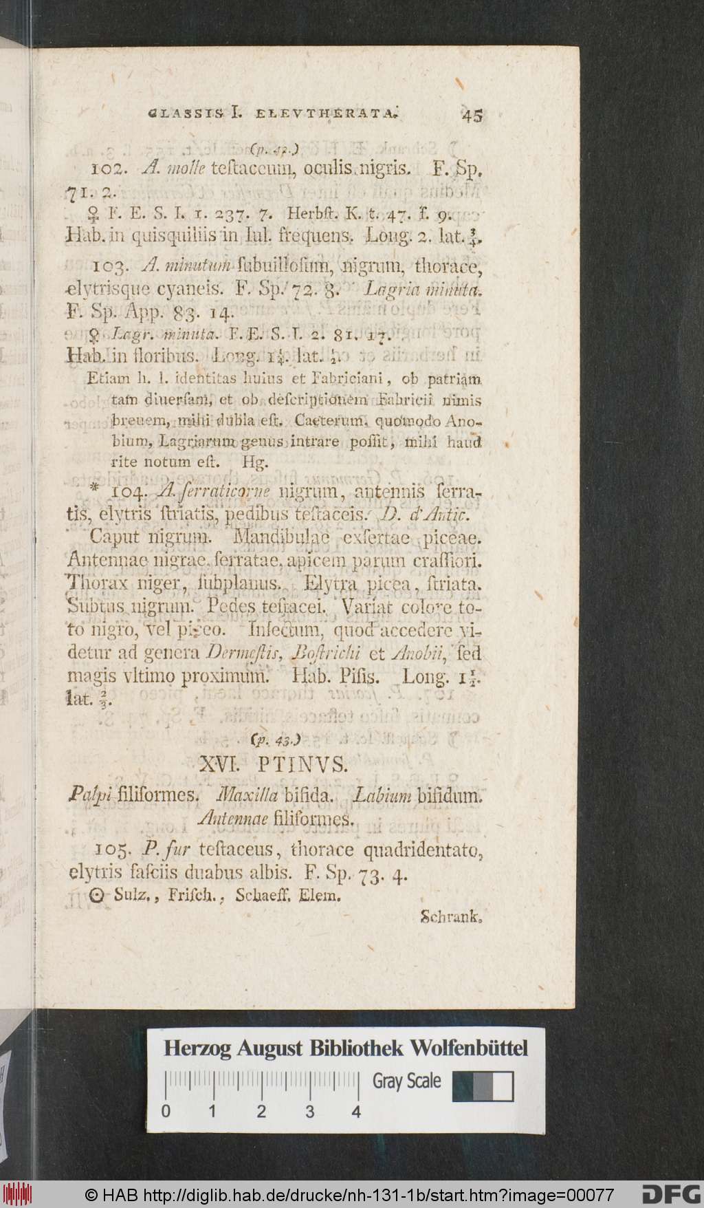 http://diglib.hab.de/drucke/nh-131-1b/00077.jpg
