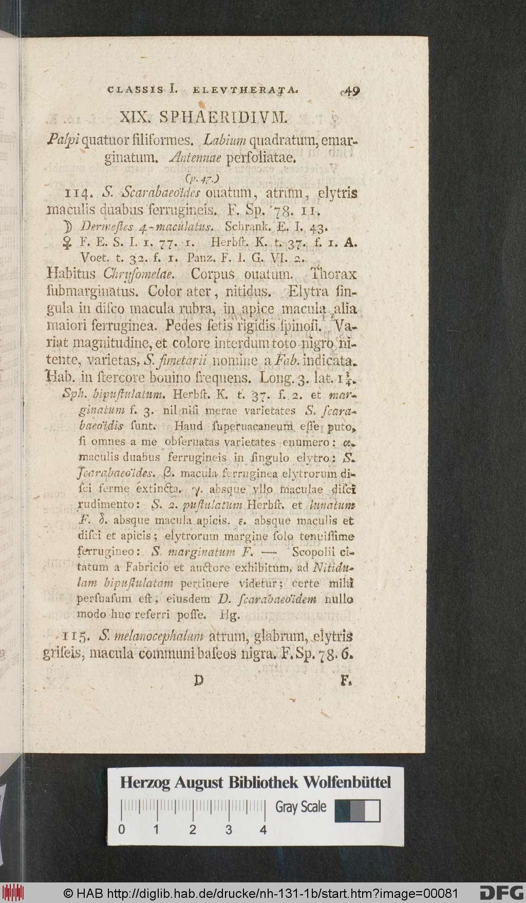 http://diglib.hab.de/drucke/nh-131-1b/00081.jpg