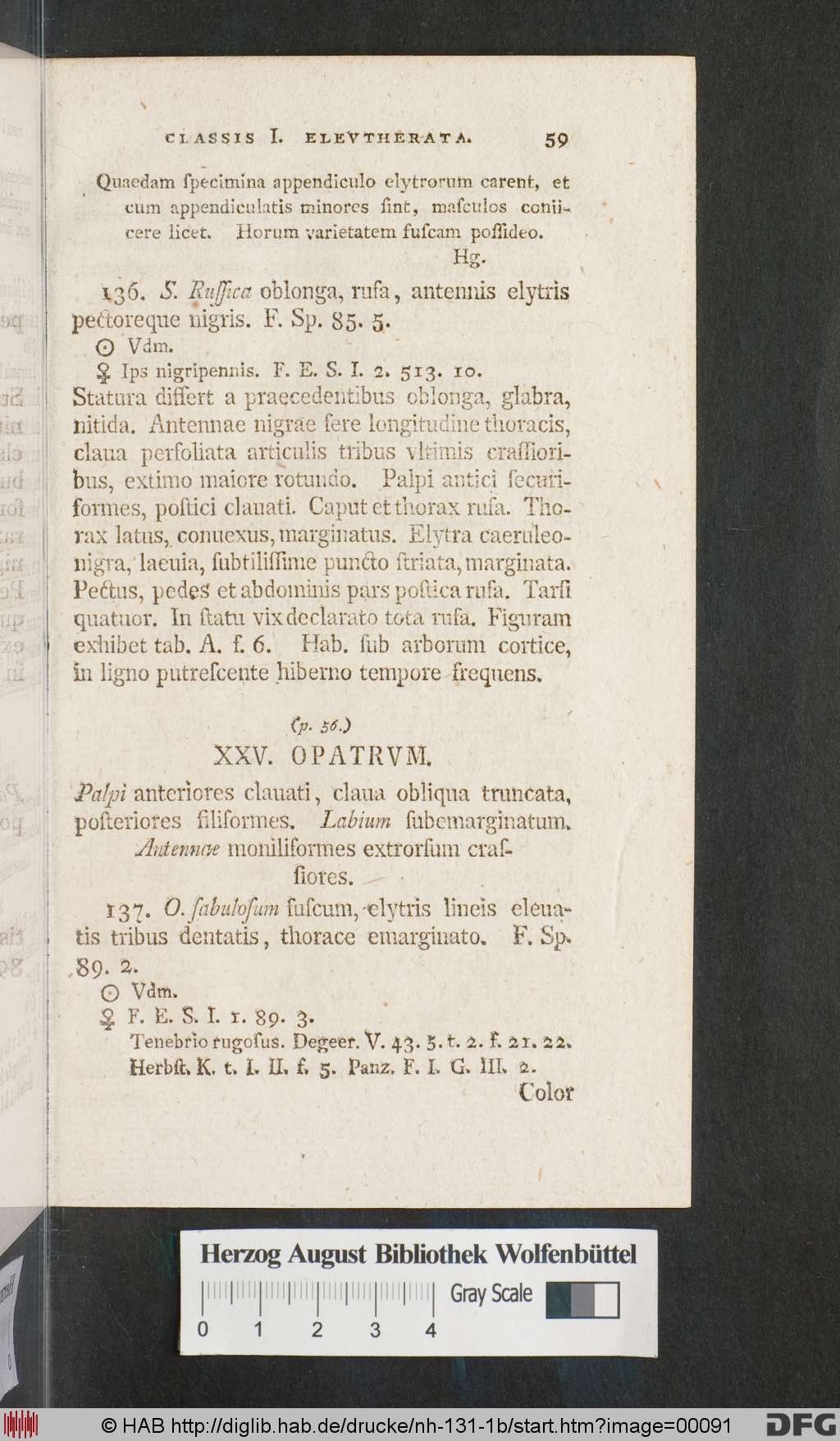 http://diglib.hab.de/drucke/nh-131-1b/00091.jpg