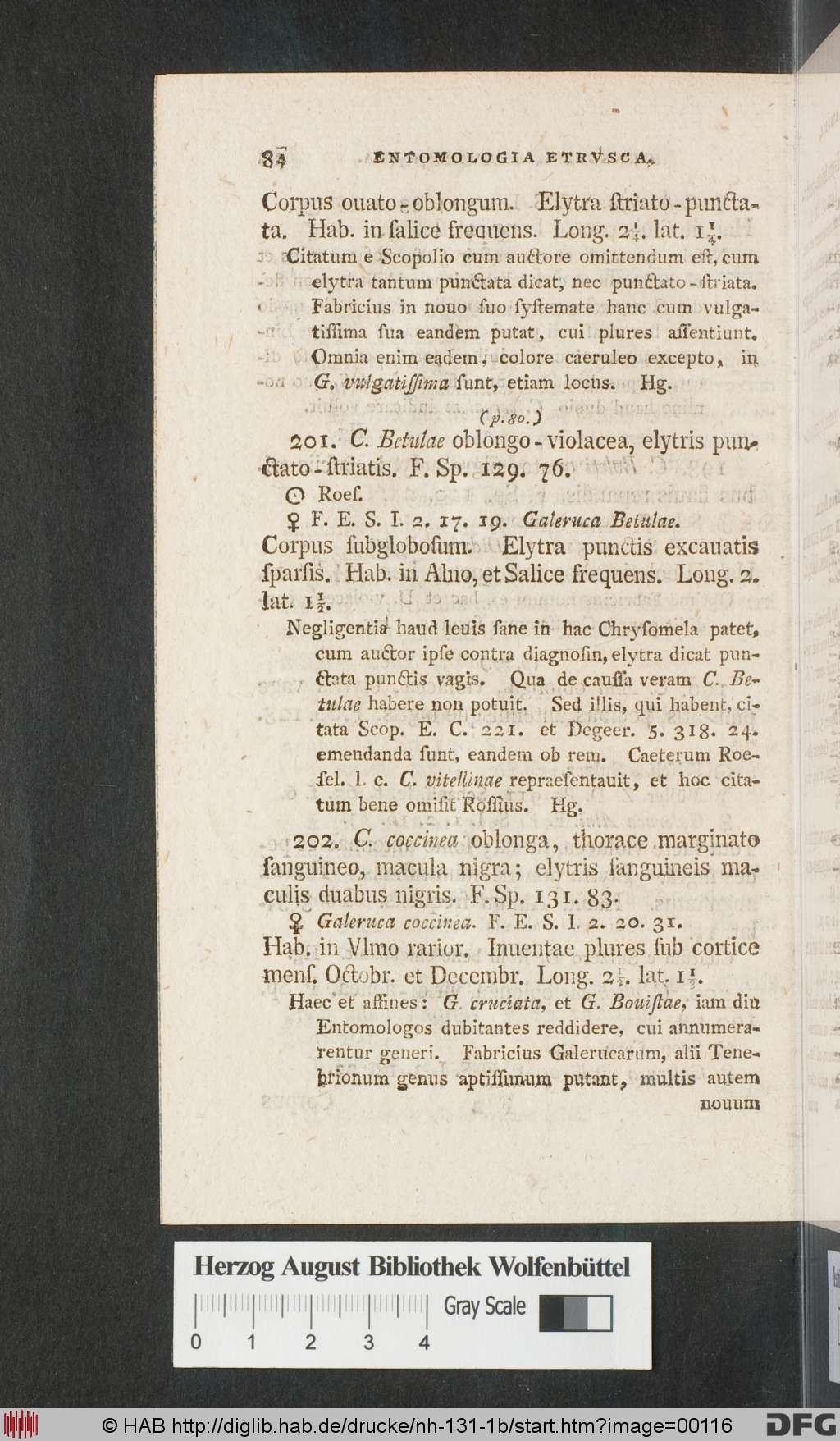 http://diglib.hab.de/drucke/nh-131-1b/00116.jpg