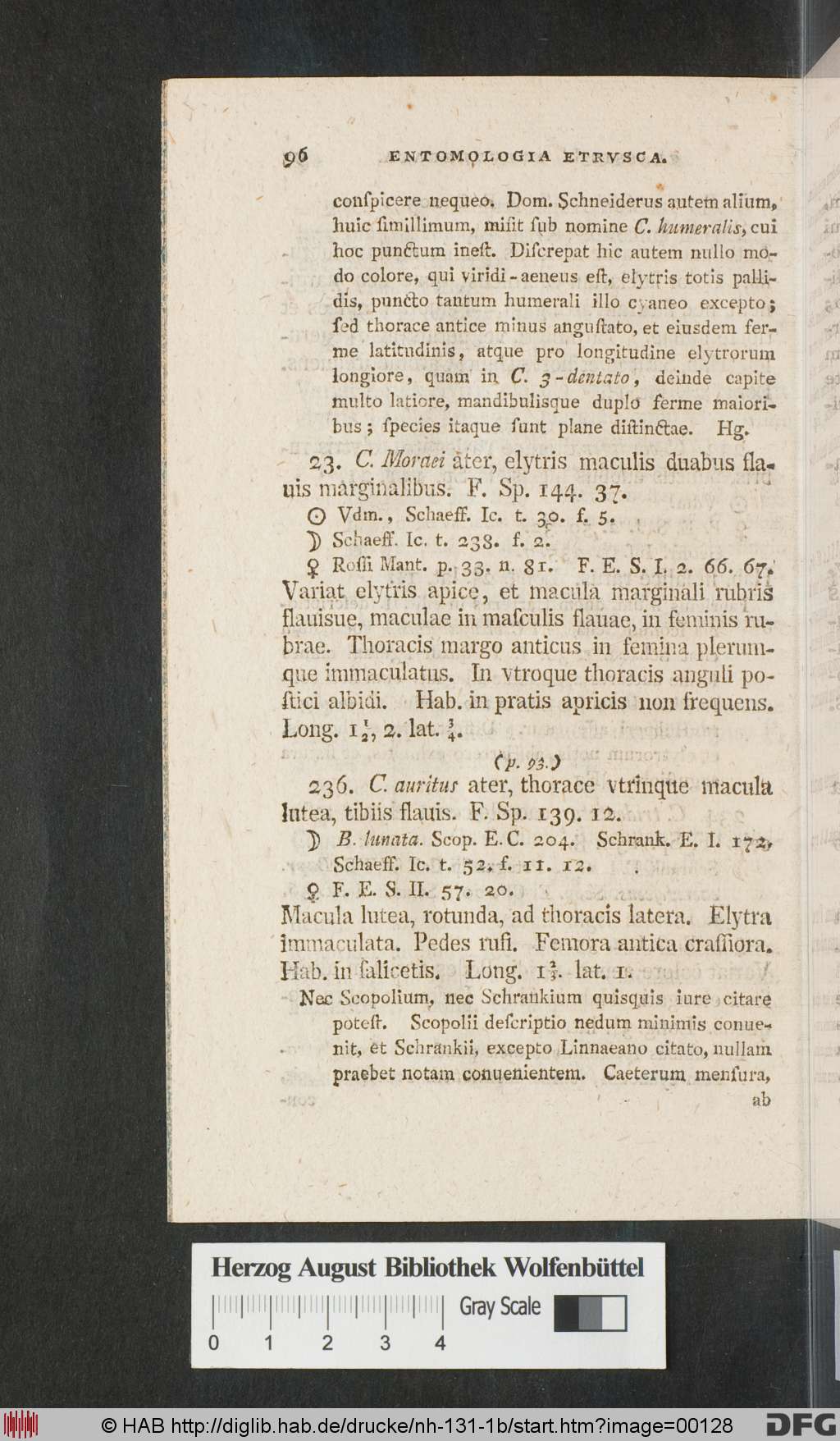 http://diglib.hab.de/drucke/nh-131-1b/00128.jpg