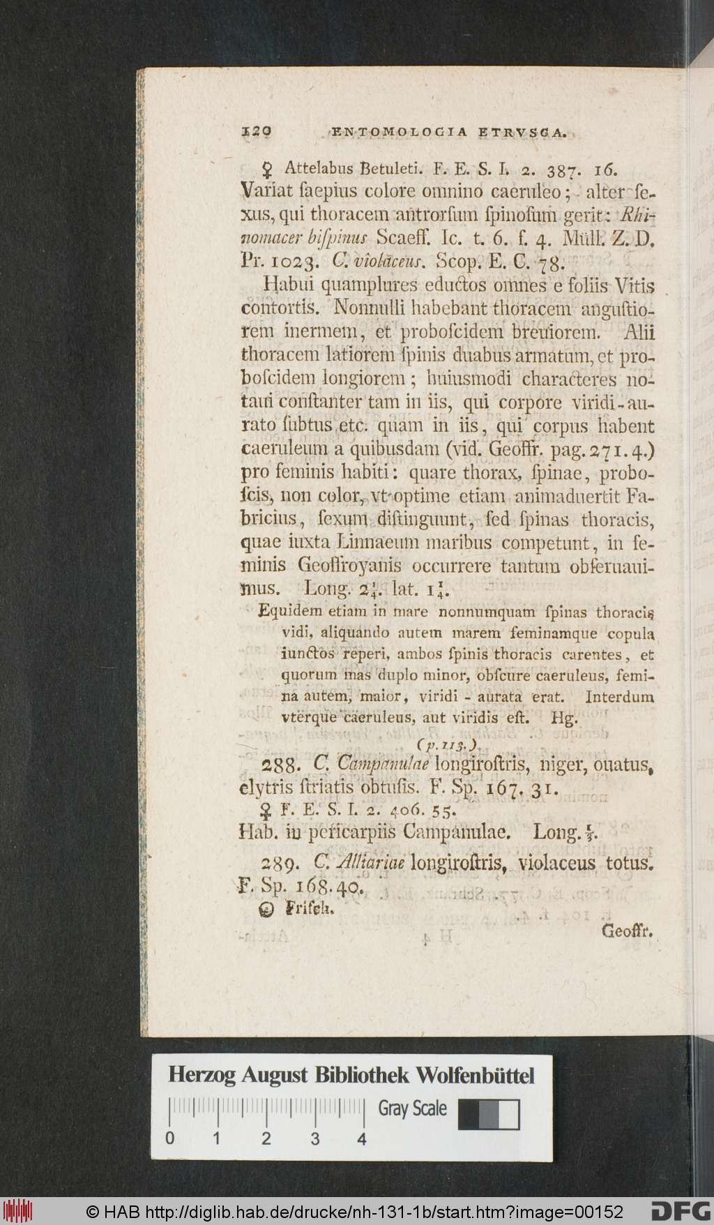 http://diglib.hab.de/drucke/nh-131-1b/00152.jpg