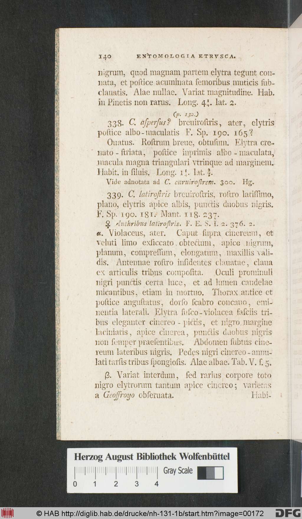 http://diglib.hab.de/drucke/nh-131-1b/00172.jpg