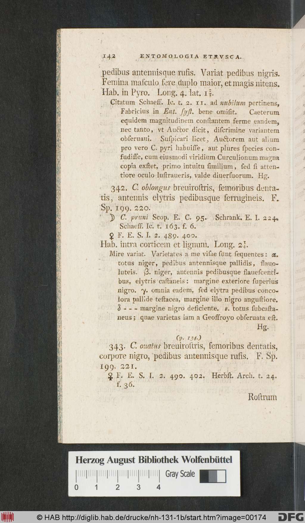 http://diglib.hab.de/drucke/nh-131-1b/00174.jpg