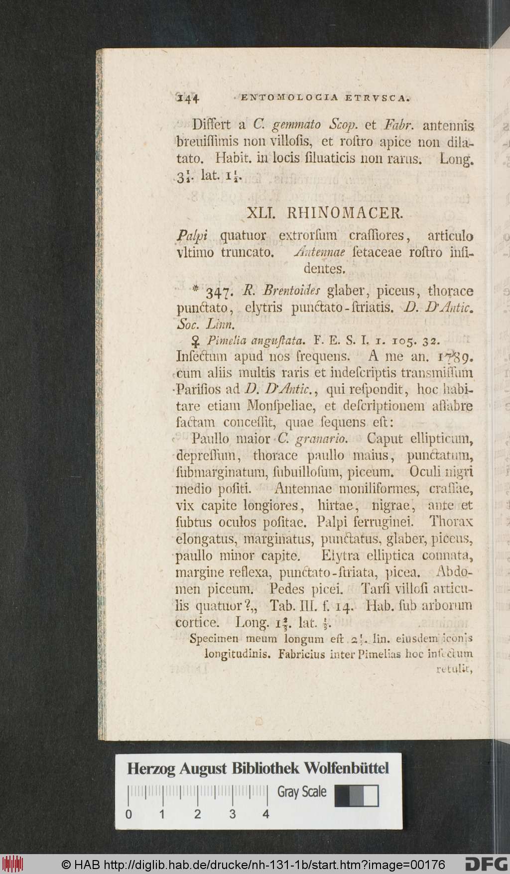 http://diglib.hab.de/drucke/nh-131-1b/00176.jpg