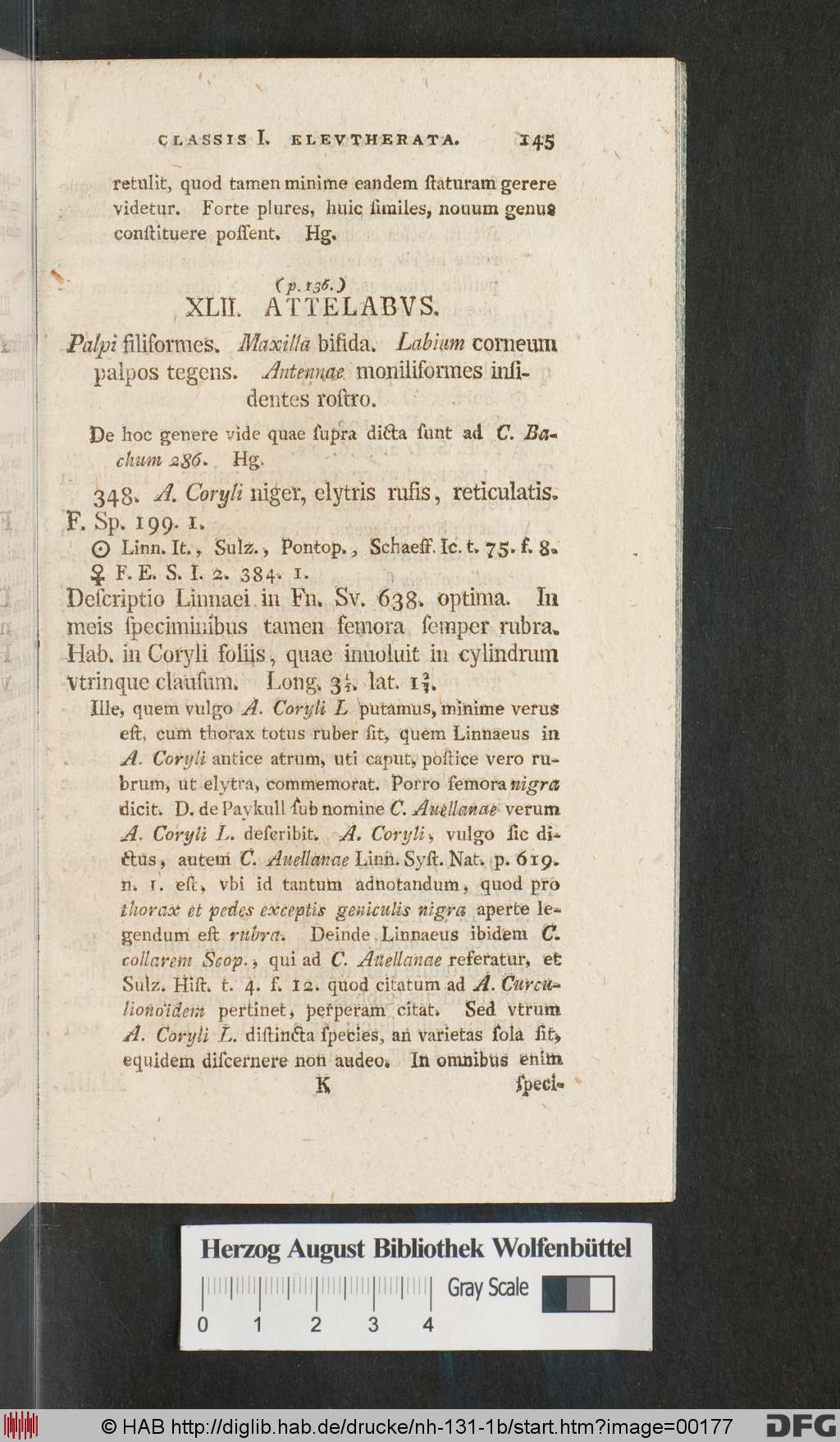 http://diglib.hab.de/drucke/nh-131-1b/00177.jpg