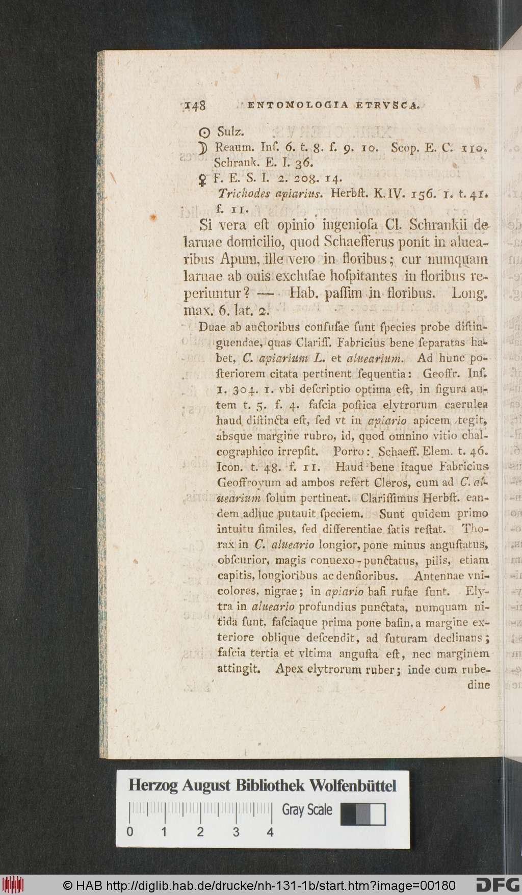http://diglib.hab.de/drucke/nh-131-1b/00180.jpg