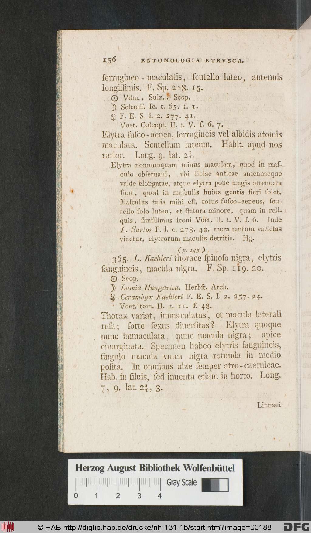 http://diglib.hab.de/drucke/nh-131-1b/00188.jpg
