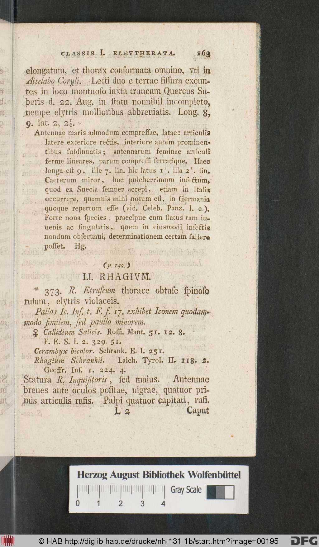 http://diglib.hab.de/drucke/nh-131-1b/00195.jpg