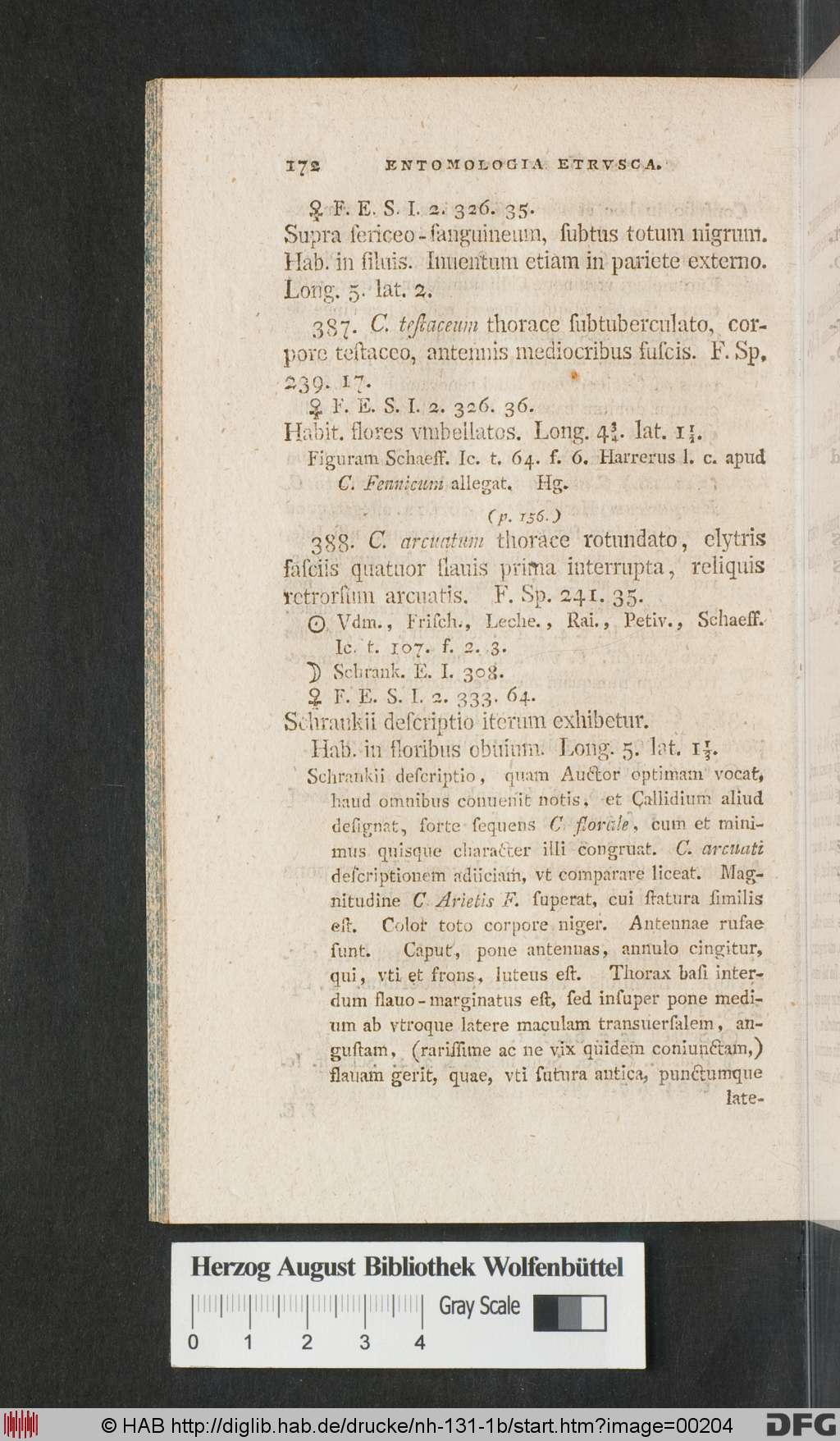 http://diglib.hab.de/drucke/nh-131-1b/00204.jpg