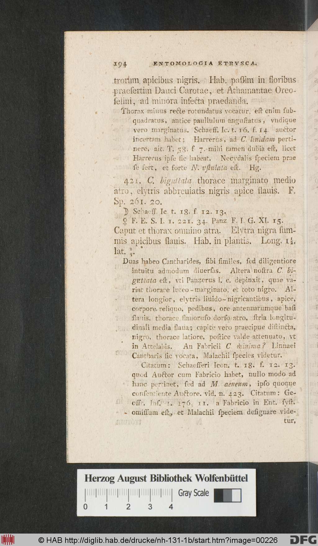 http://diglib.hab.de/drucke/nh-131-1b/00226.jpg