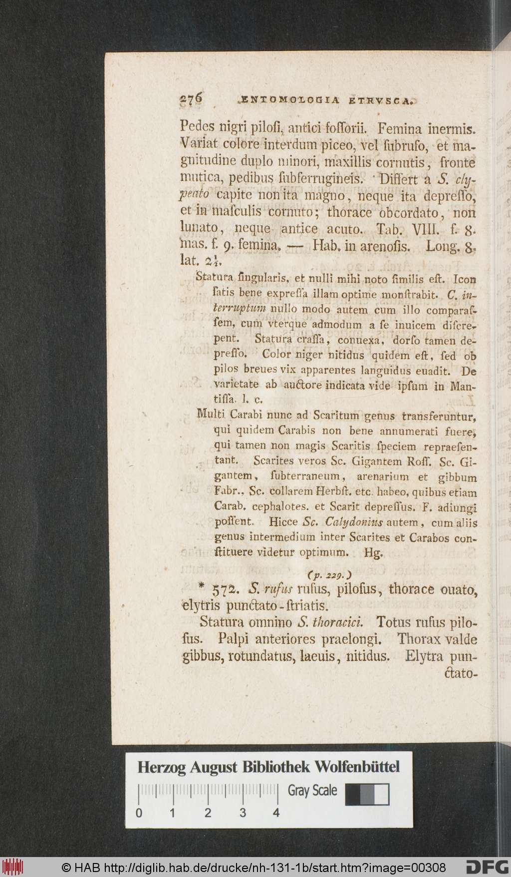 http://diglib.hab.de/drucke/nh-131-1b/00308.jpg