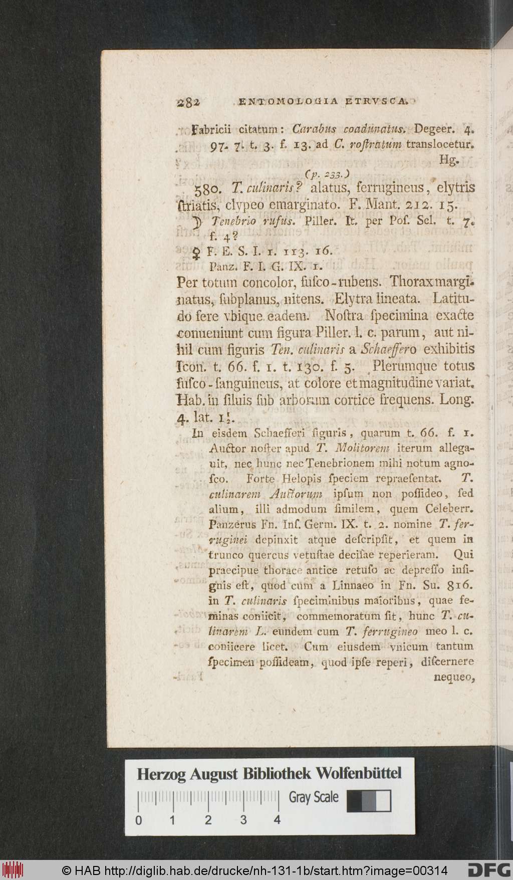 http://diglib.hab.de/drucke/nh-131-1b/00314.jpg