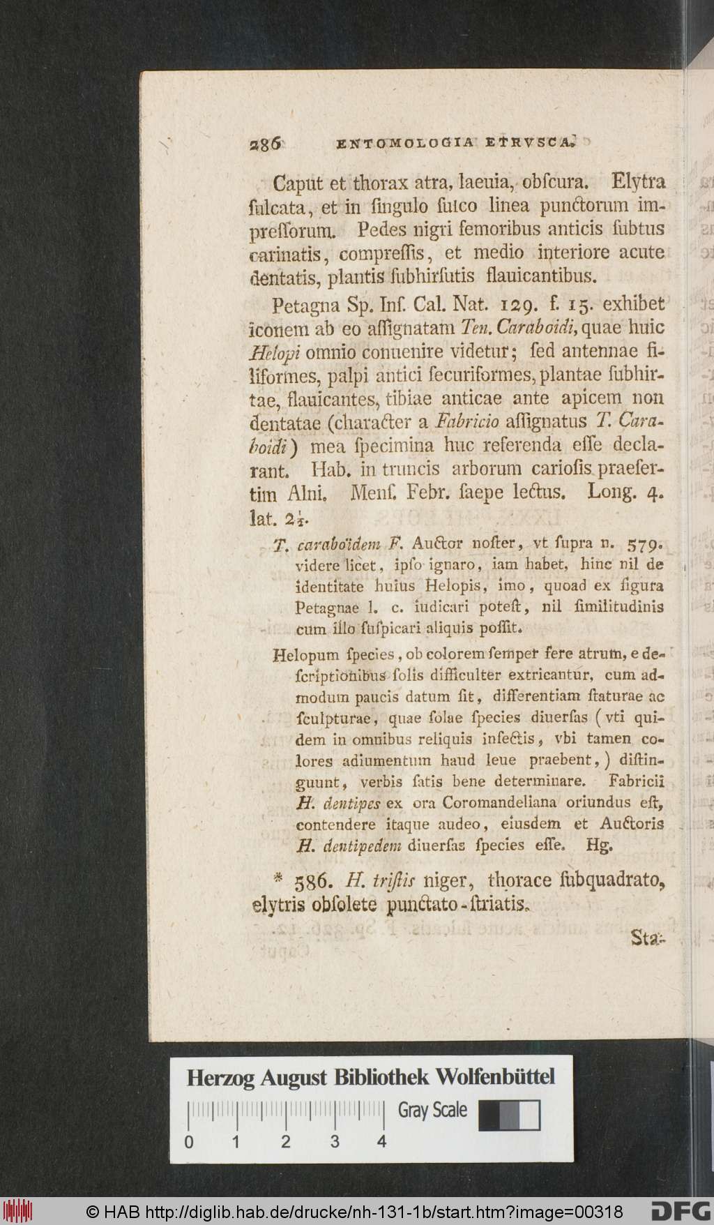 http://diglib.hab.de/drucke/nh-131-1b/00318.jpg