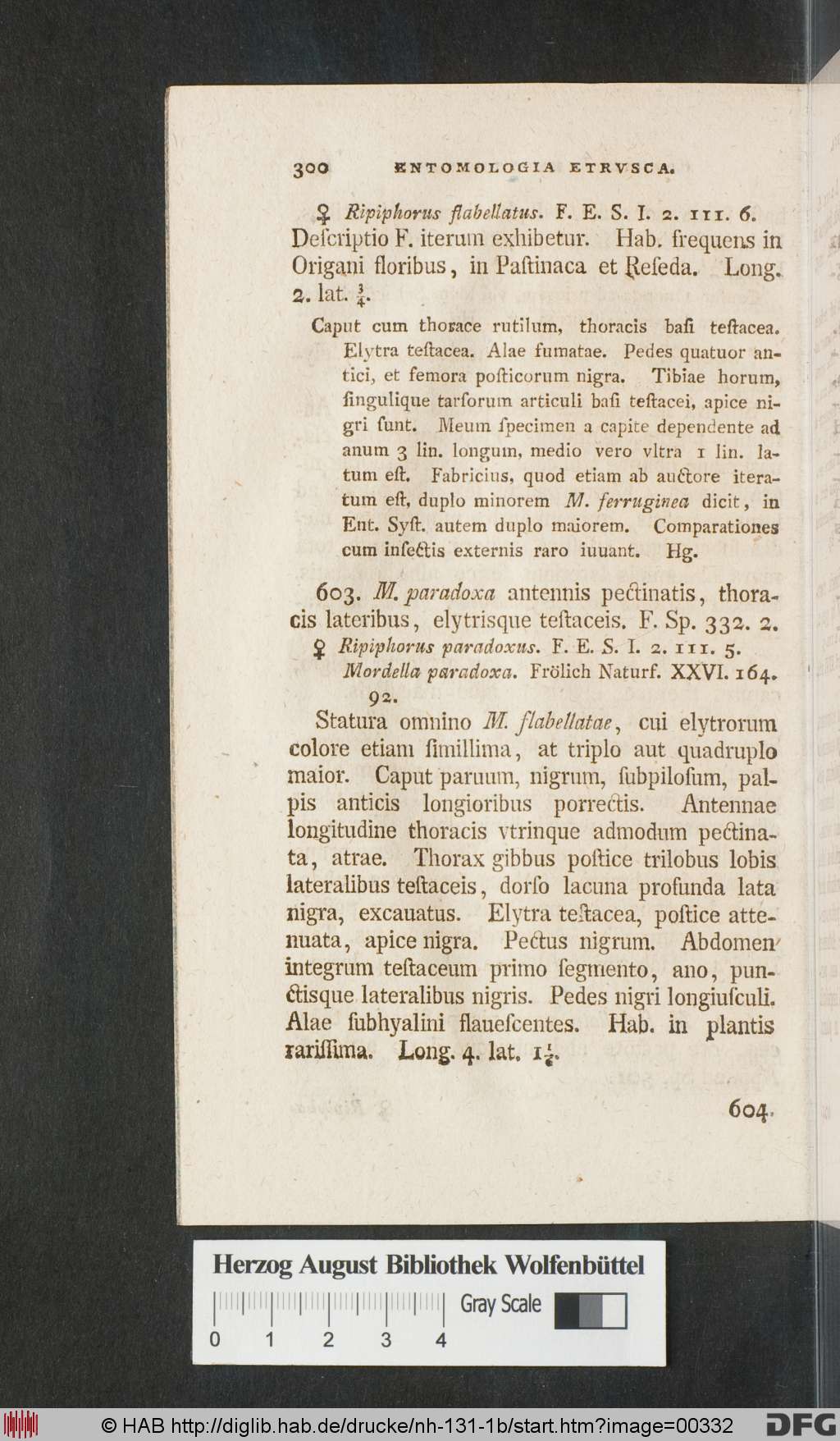 http://diglib.hab.de/drucke/nh-131-1b/00332.jpg