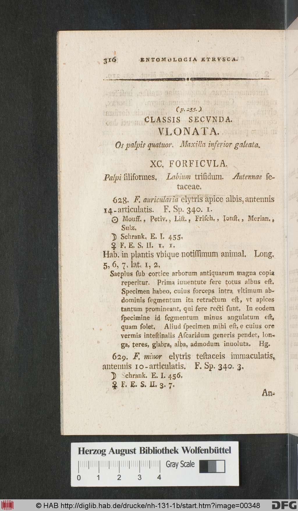 http://diglib.hab.de/drucke/nh-131-1b/00348.jpg
