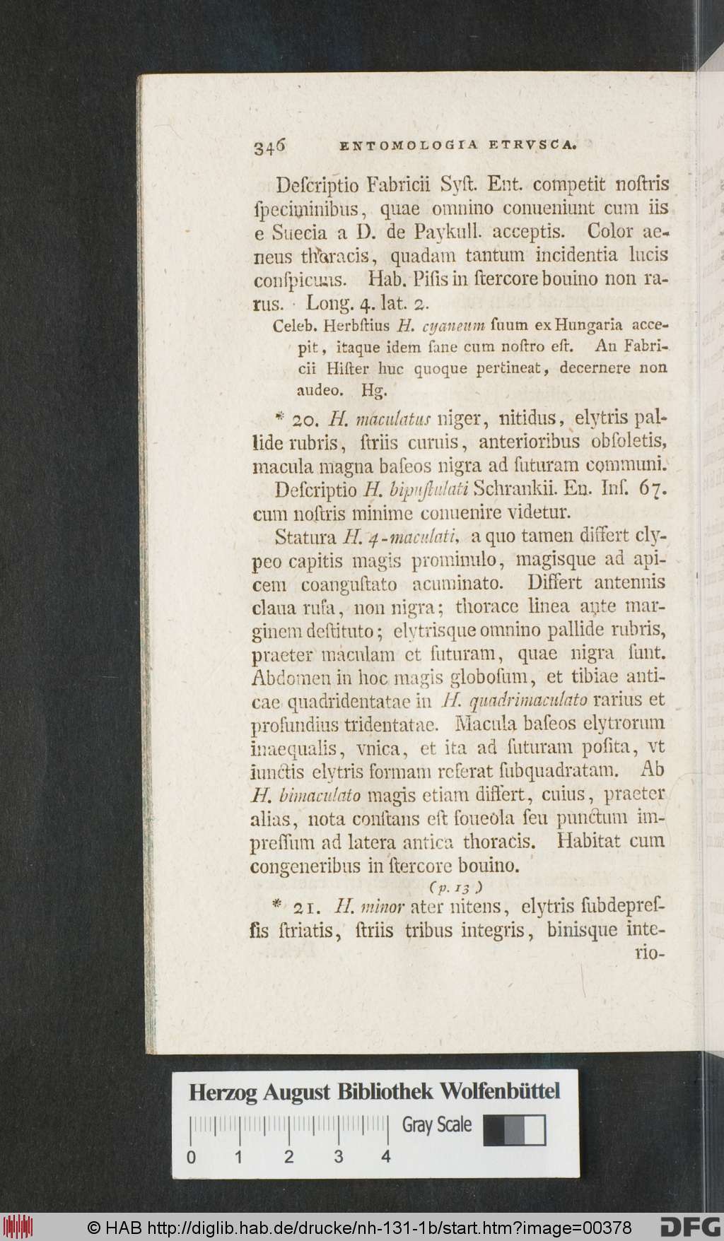 http://diglib.hab.de/drucke/nh-131-1b/00378.jpg