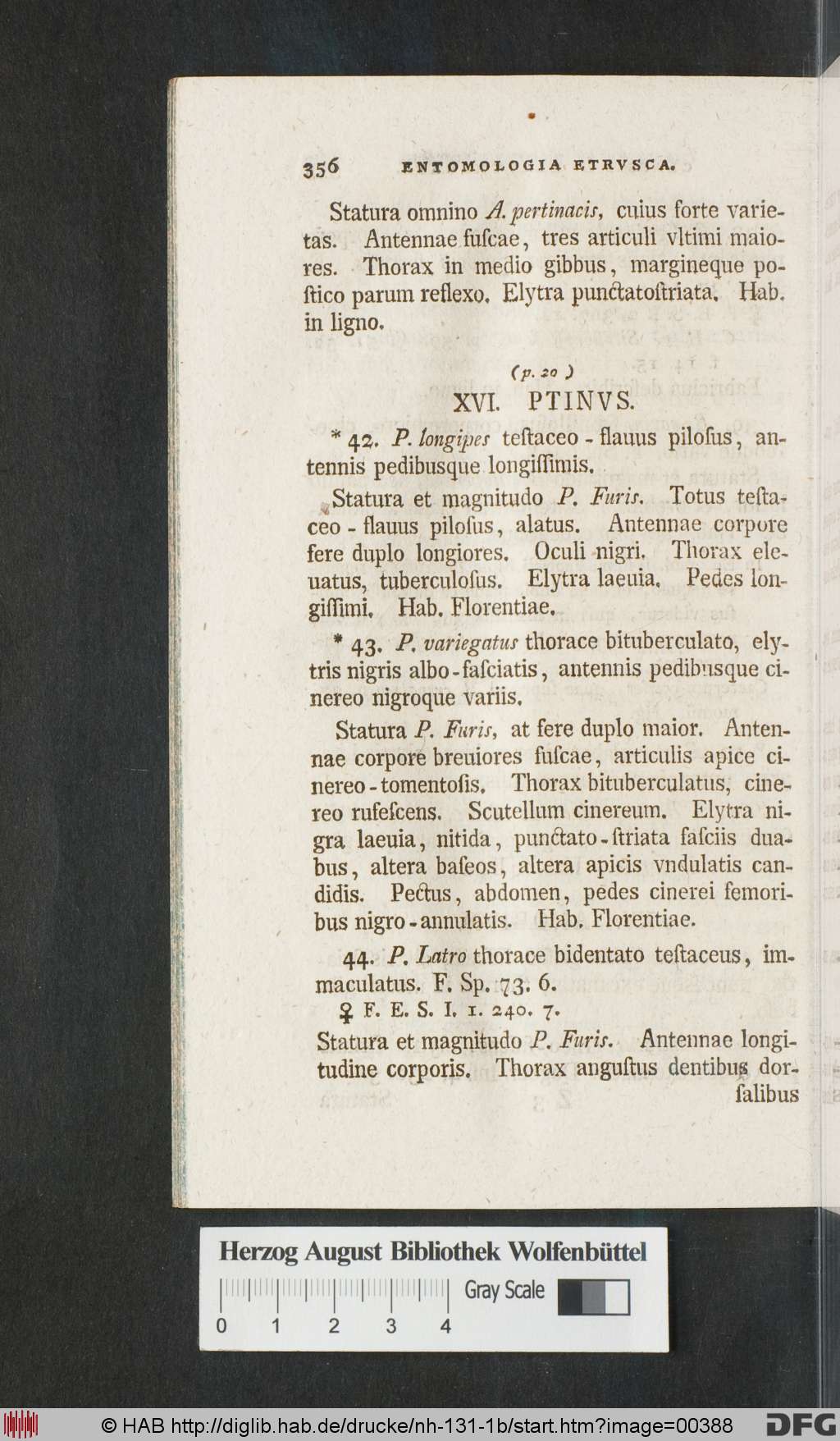 http://diglib.hab.de/drucke/nh-131-1b/00388.jpg