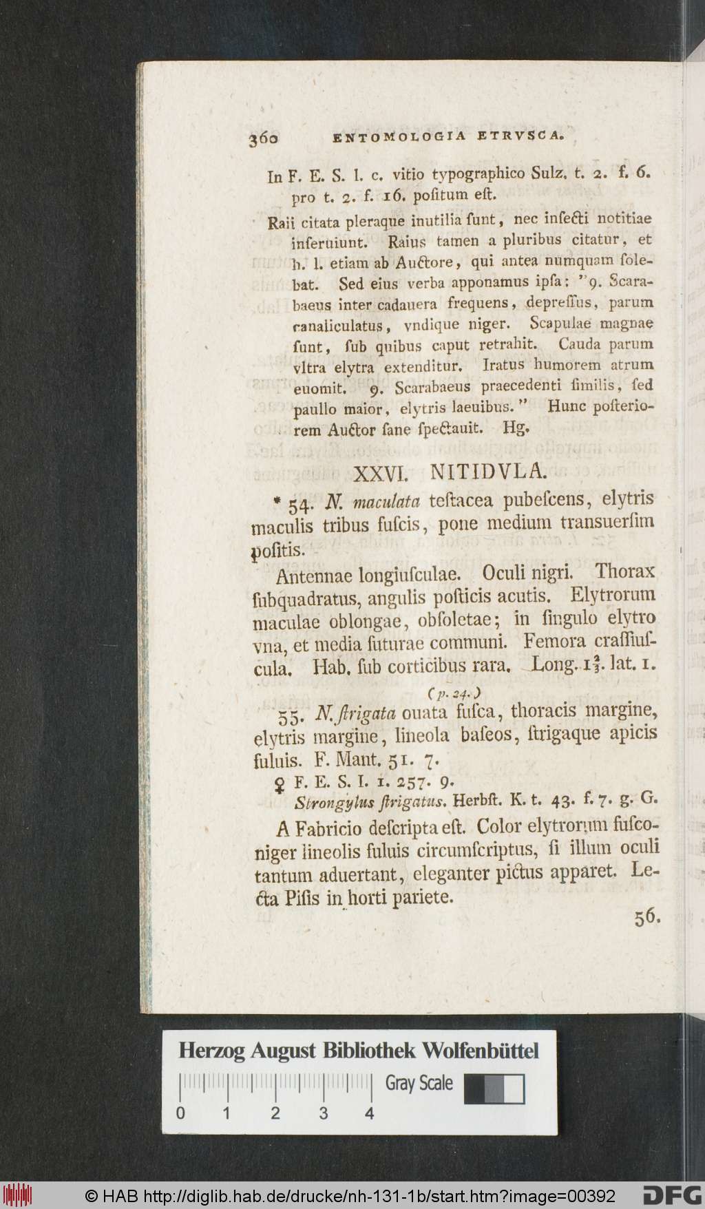 http://diglib.hab.de/drucke/nh-131-1b/00392.jpg