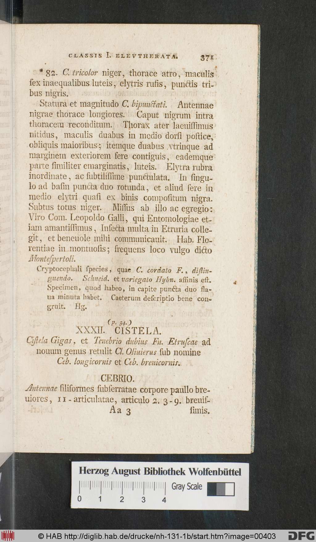 http://diglib.hab.de/drucke/nh-131-1b/00403.jpg