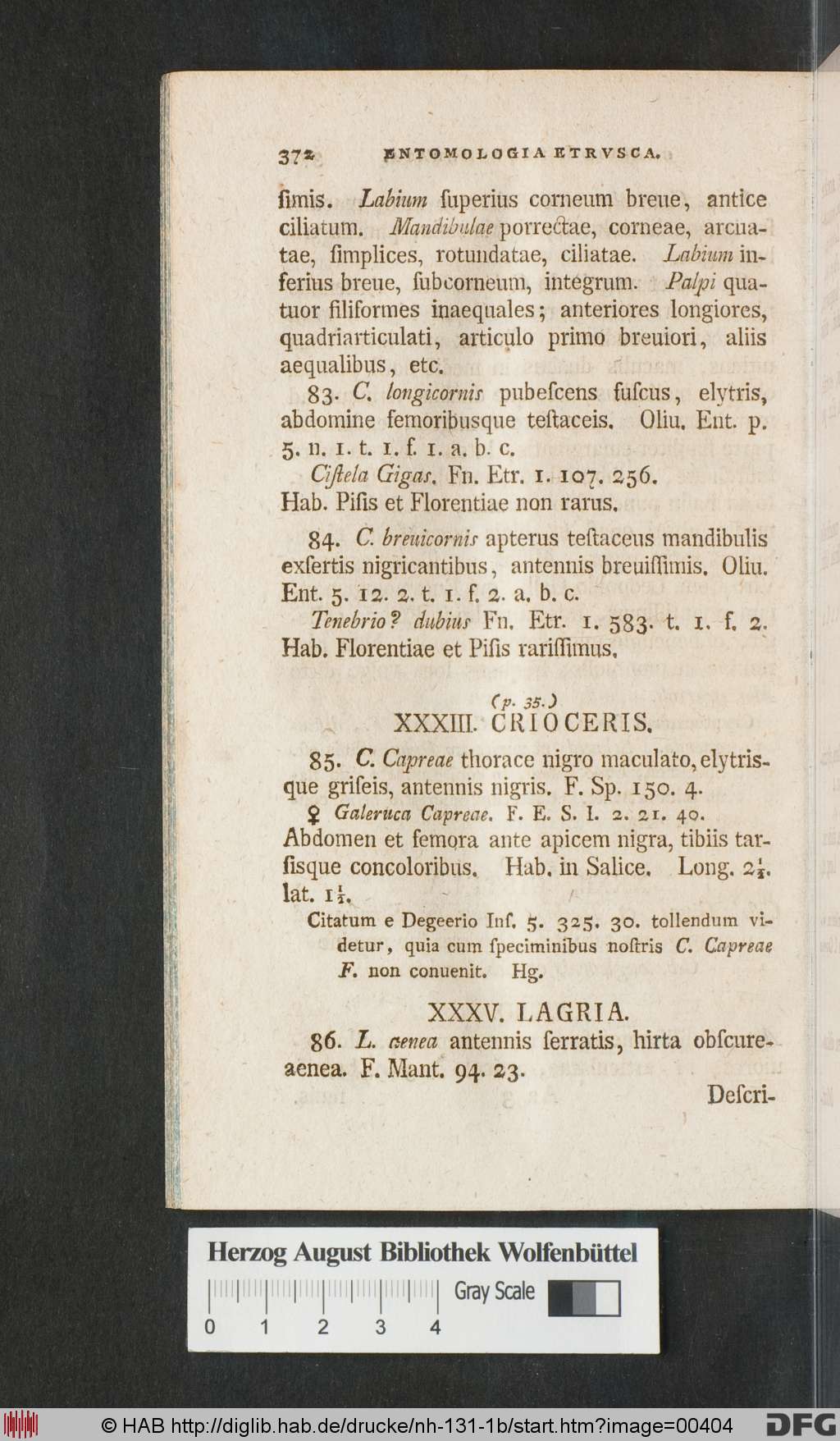 http://diglib.hab.de/drucke/nh-131-1b/00404.jpg