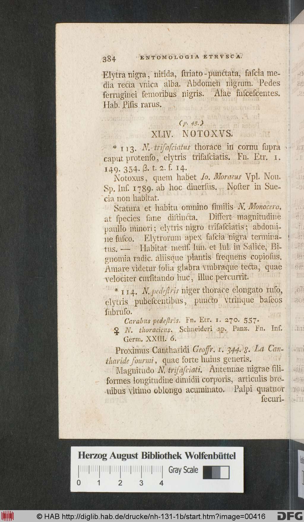 http://diglib.hab.de/drucke/nh-131-1b/00416.jpg