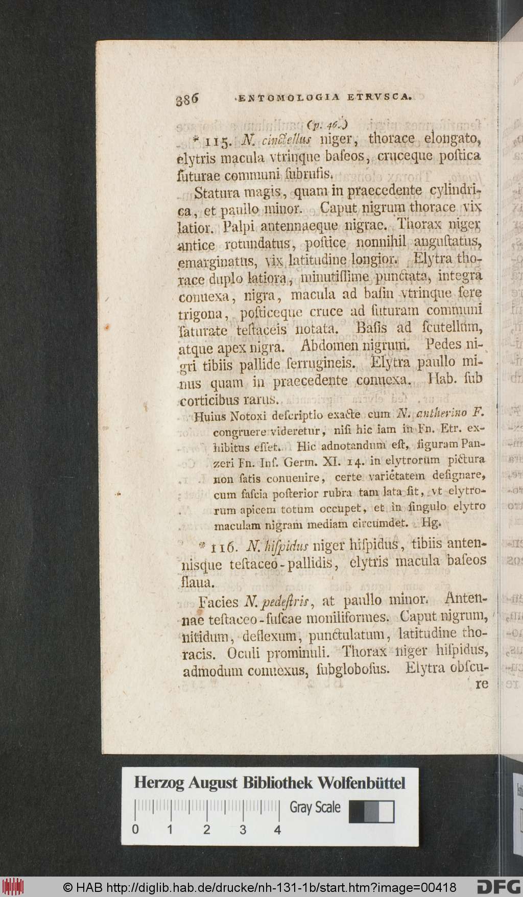 http://diglib.hab.de/drucke/nh-131-1b/00418.jpg