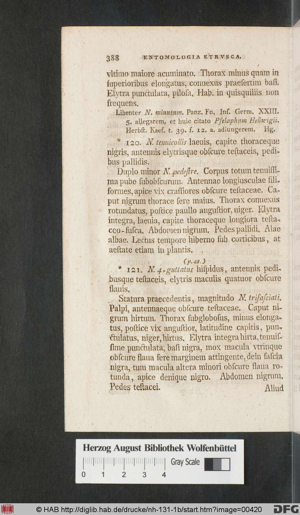 http://diglib.hab.de/drucke/nh-131-1b/00420.jpg
