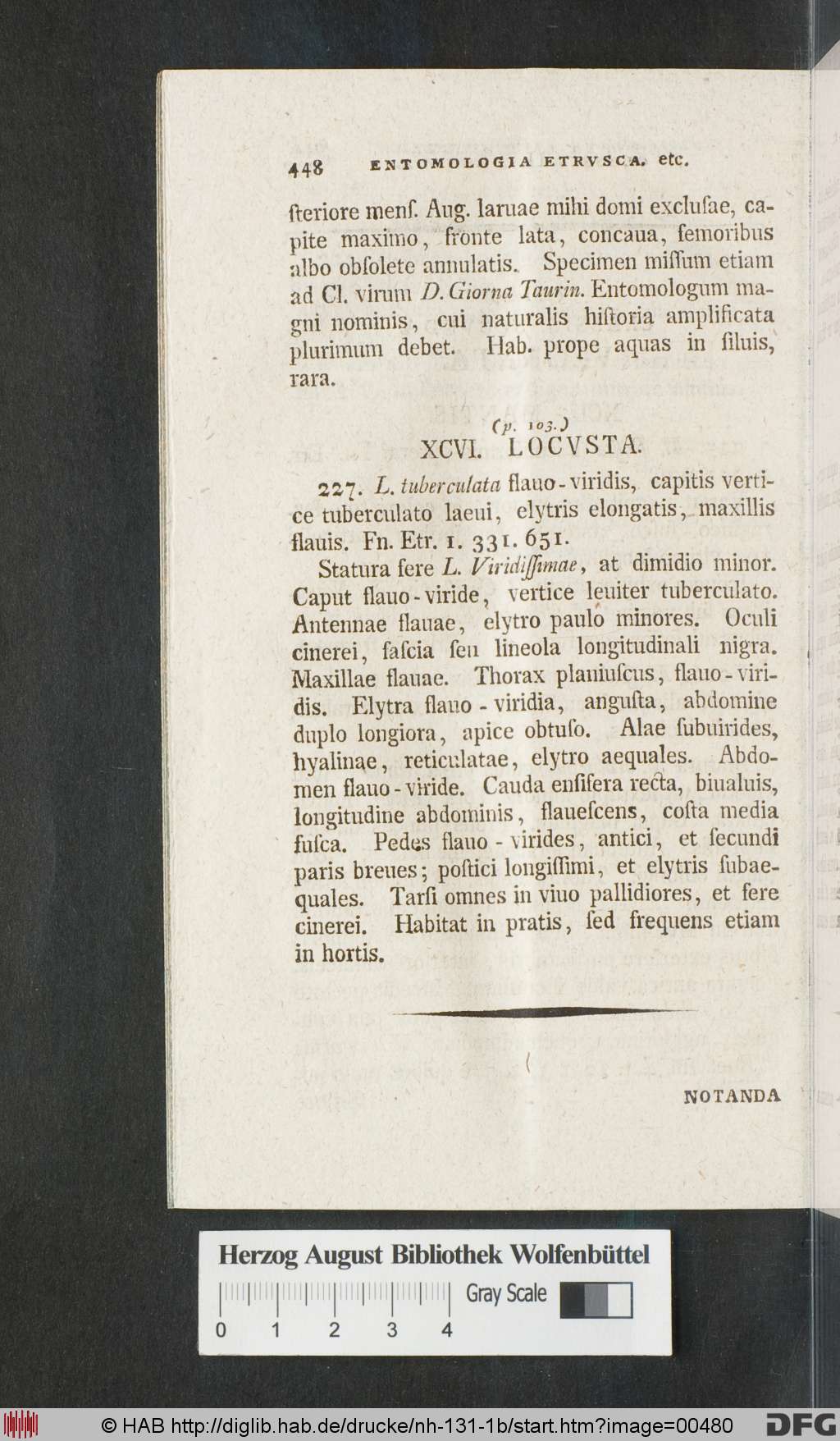 http://diglib.hab.de/drucke/nh-131-1b/00480.jpg