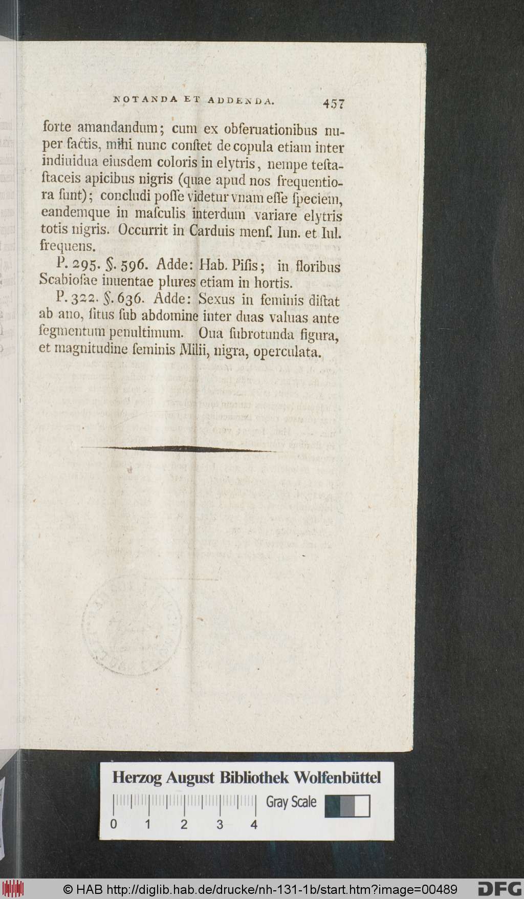 http://diglib.hab.de/drucke/nh-131-1b/00489.jpg